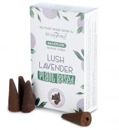 Stamford Premium Plant Based Backflow Incense Cones – Lush Lavender – 6 packs